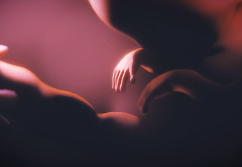 A computer-generated image of a fetus in the womb, used in a documentary about Fetal Alcohol Spectrum Disorder awareness.