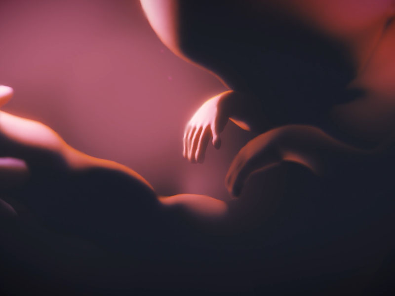 A computer-generated image of a fetus in the womb, used in a documentary about Fetal Alcohol Spectrum Disorder awareness.